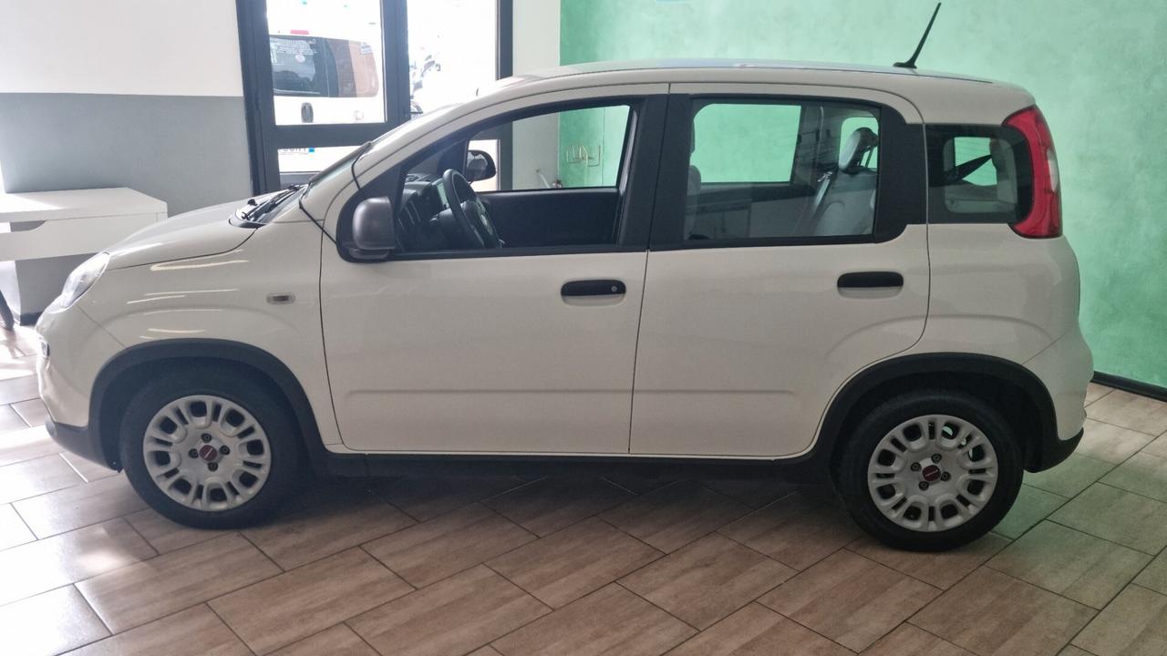 Fiat Panda 1.0 FireFly S&S Hybrid City Cross