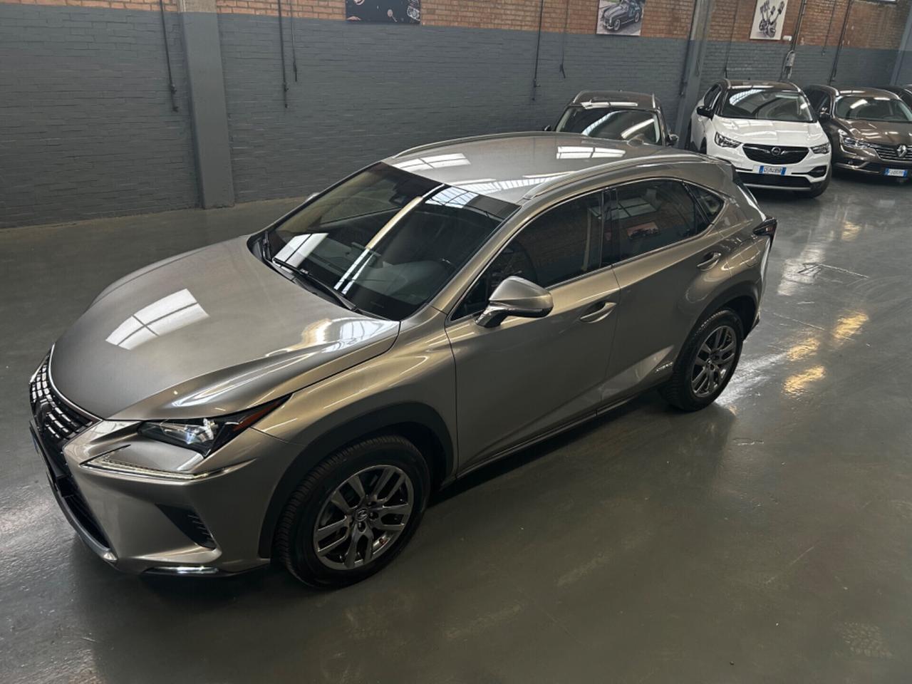 Lexus NX 300h NX Hybrid Business