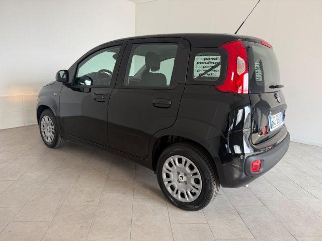 FIAT Pandina 1.0 FireFly 65 CV Hybrid Icon