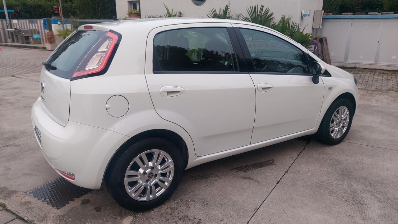 Fiat Punto 1.2 8V 5 porte Lounge - Neopatentati