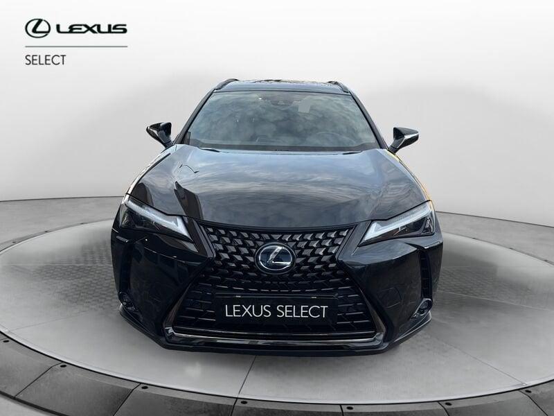 Lexus UX LEXUS UX 250 Hybrid 4WD Midnight