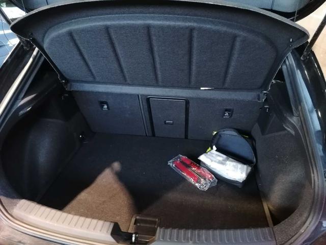 CUPRA Leon 2.0 TDI 150 CV DSG