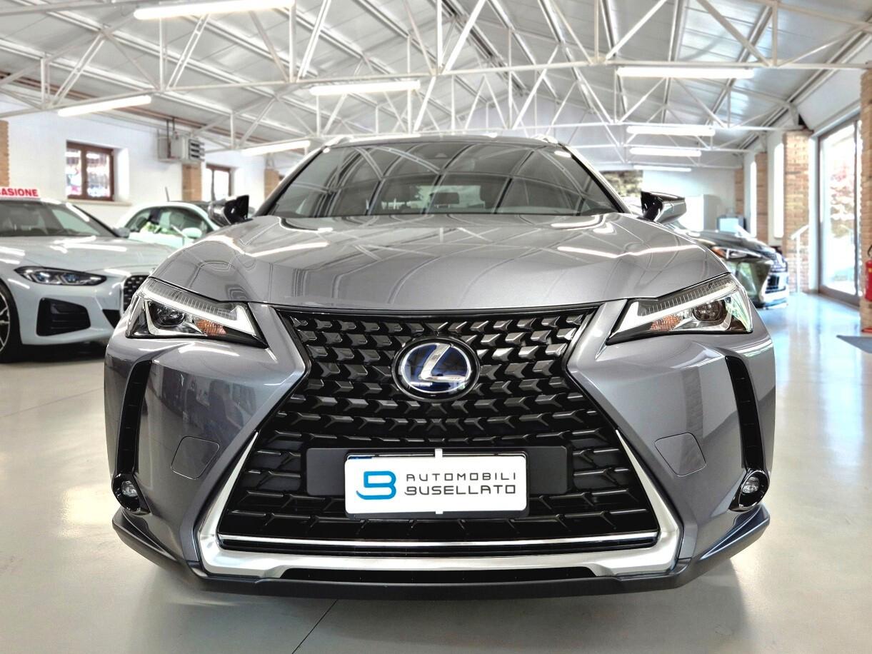 Lexus UX Hybrid 4WD Business