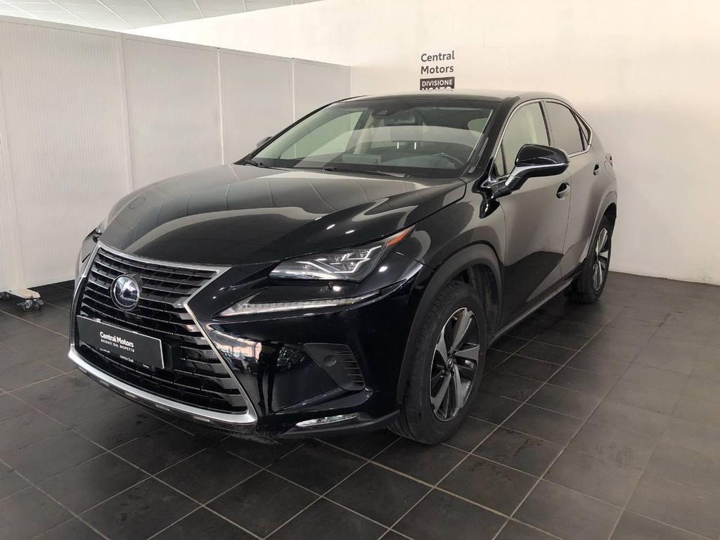 Lexus NX 300 300 2.5 Hybrid Luxury 4WD CVT