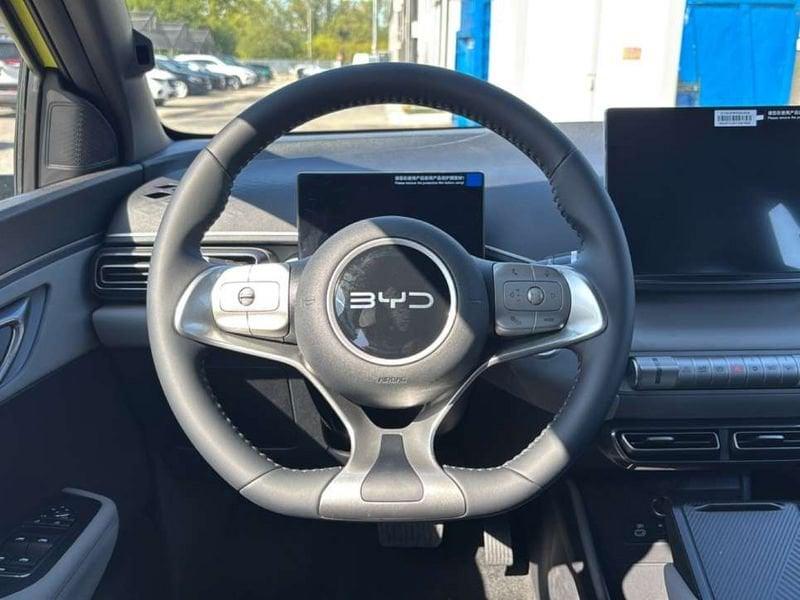 BYD Dolphin Surf Active