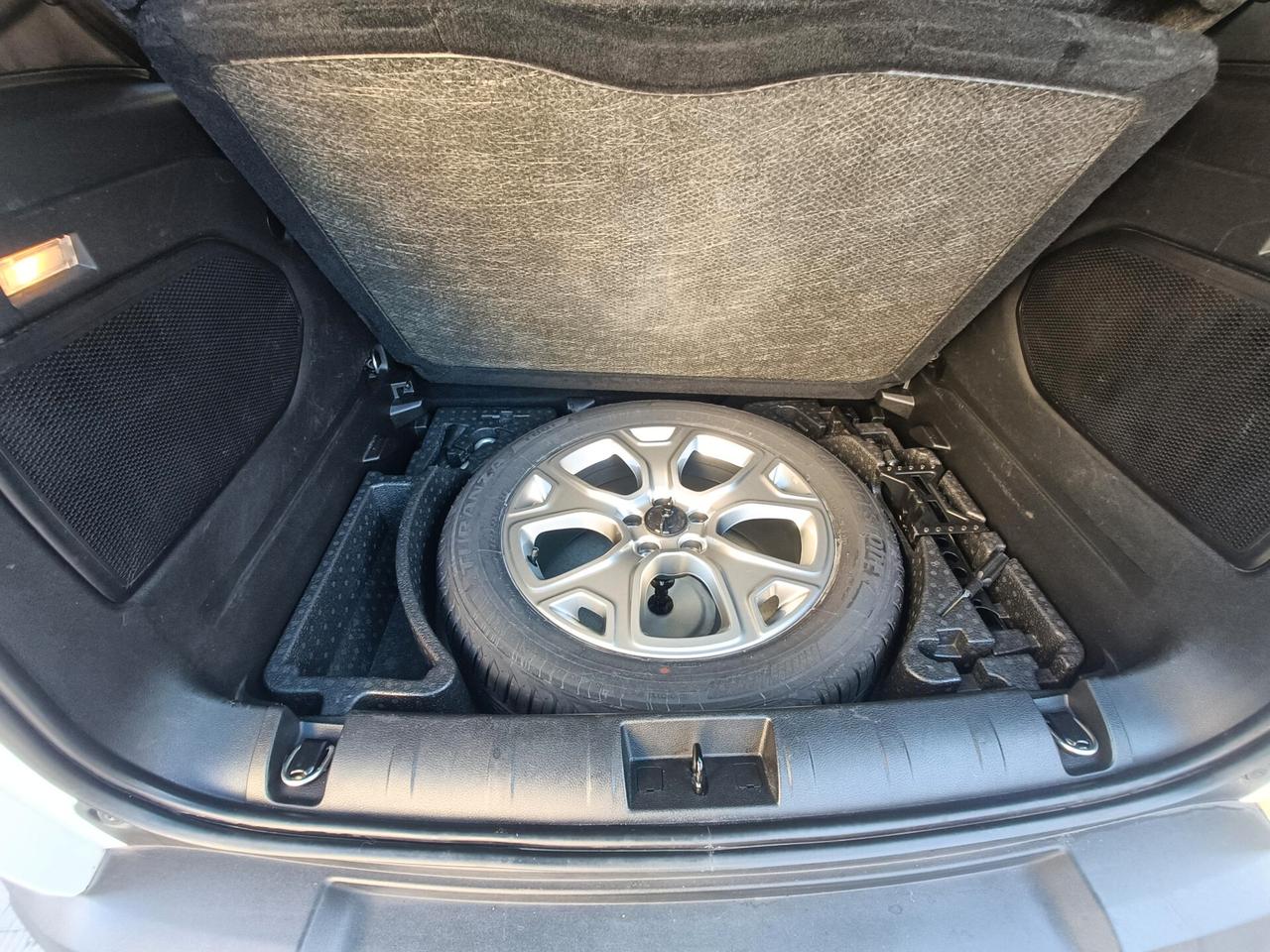 Jeep Renegade 1.6 Mjt 120 CV Limited FARI FULL LED