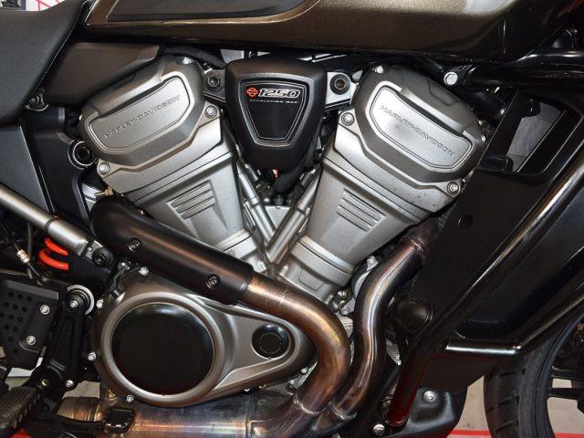 HARLEY-DAVIDSON Pan America 1250 PAN AMERICA 1250