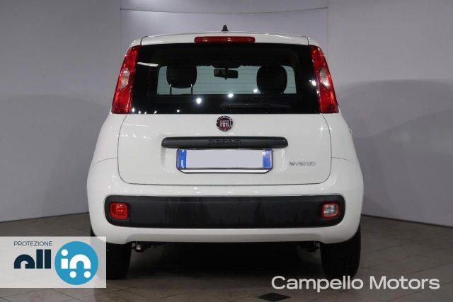 FIAT Panda Panda 1.0 70cv Hybrid Panda