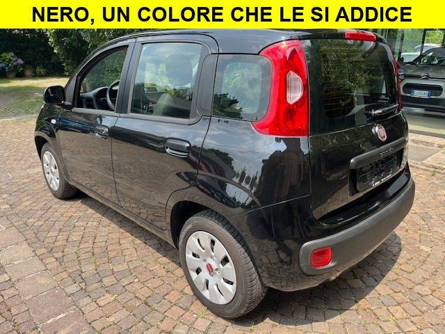 FIAT Panda 1.2 Benzina euro6 Neopatentati
