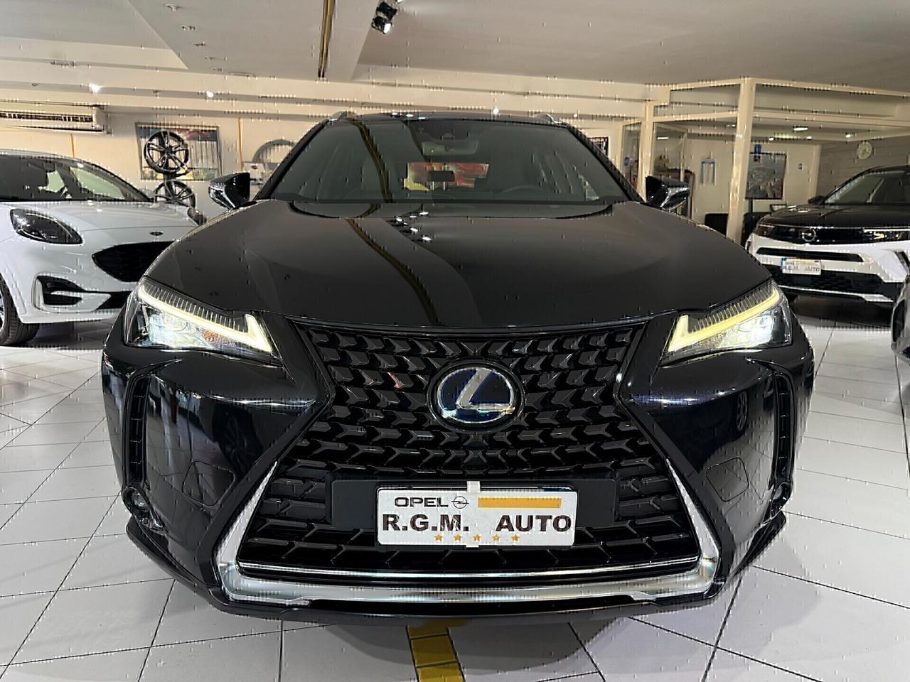 Lexus UX UX Hybrid Executive