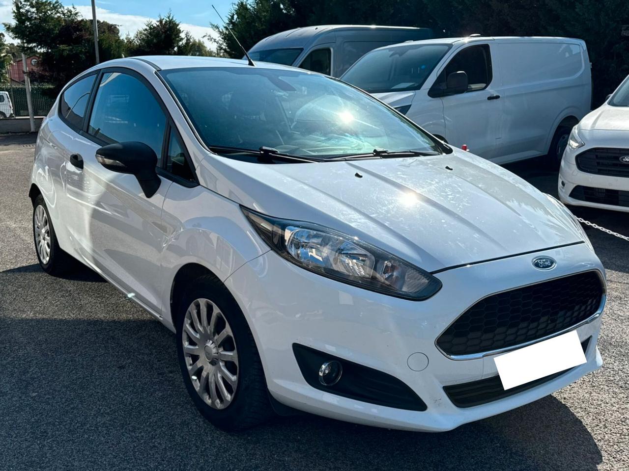 Ford Fiesta 1.5 TDCi 95CV 3 porte Van Entry