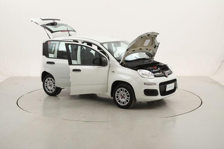 Fiat Panda Easy BR231570 1.2 Benzina 69CV