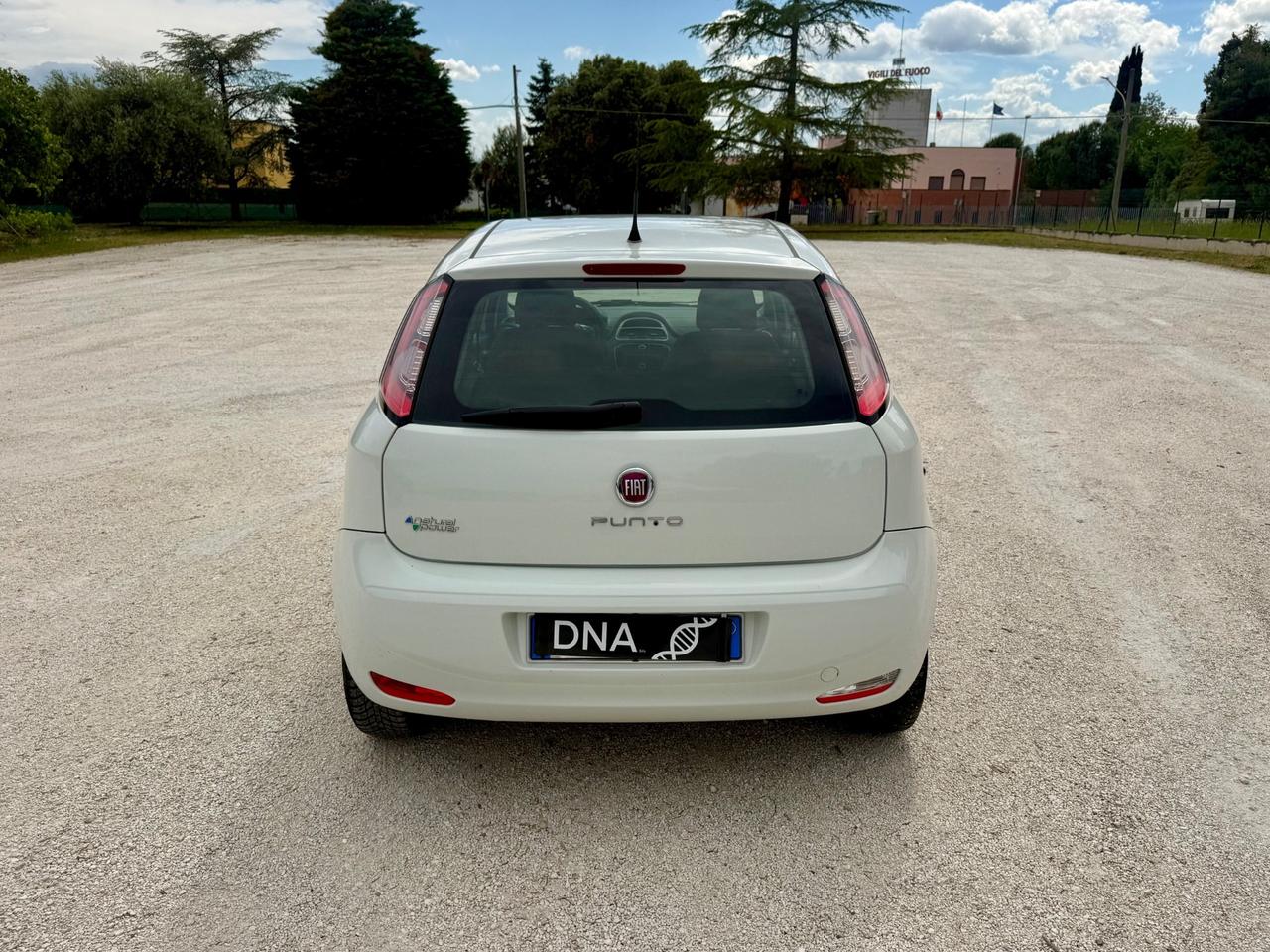 Punto Street 1.4 Natural Power Uniproprietà NEOPATENTATI