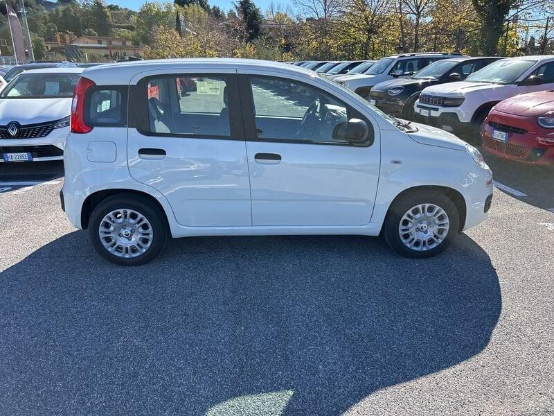 FIAT Panda New 1.0 70cv Hybrid Panda
