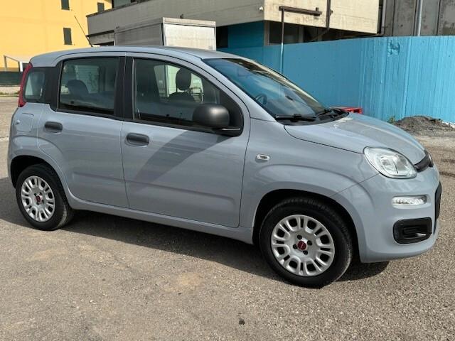 Fiat Panda 1.2 Easy iva esposta