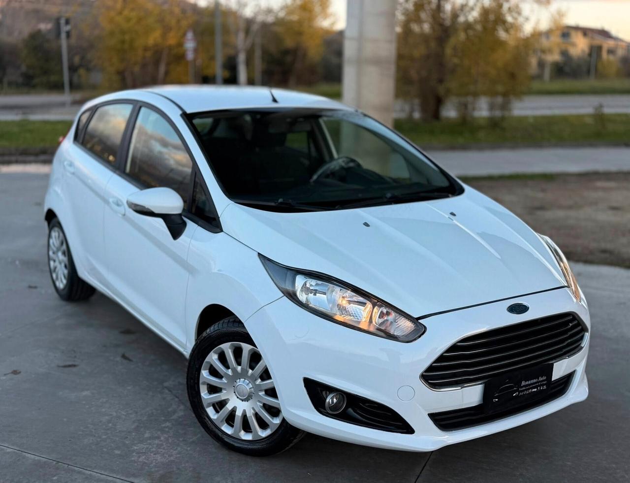 Ford Fiesta 1.5 TDCi 75CV 5 porte Titanium