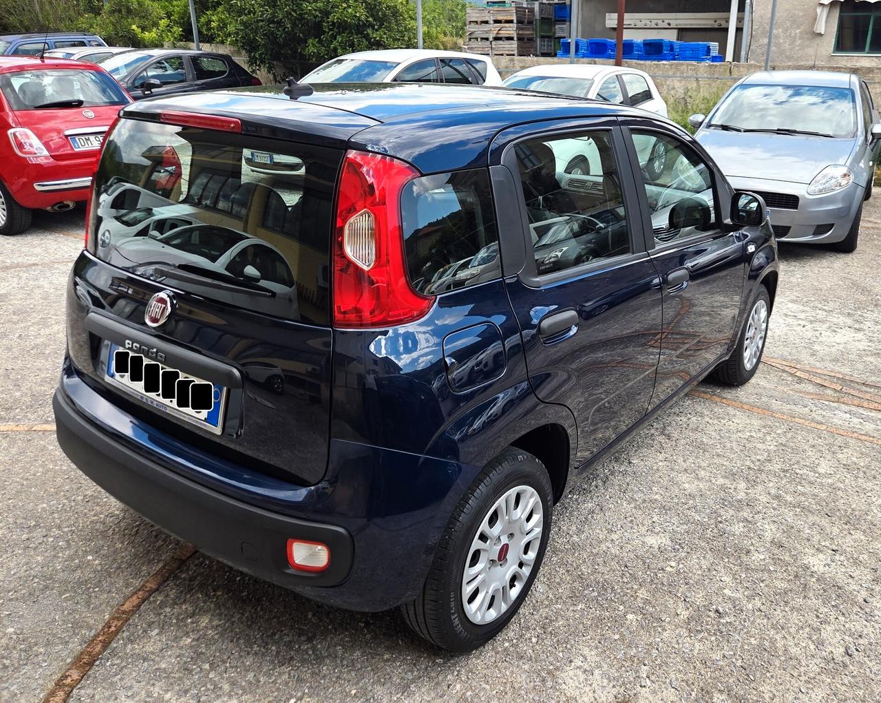 Fiat Panda 1.2 SOLO 34000 KM 5 POSTI GARANZIA