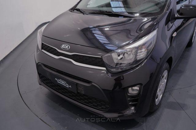KIA Picanto 1.0 12V 5 porte Urban