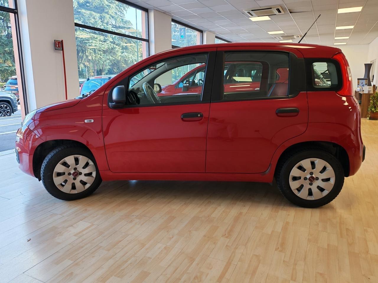 Fiat Panda - DISTRIBUZIONE NUOVA e TAGLIANDATA !!!