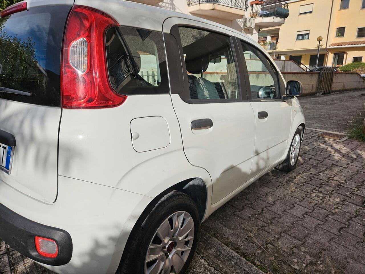 Fiat Panda 1.3 MJT S&S Easy Van 4 posti