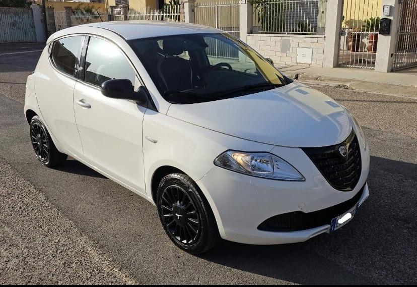 Lancia Ypsilon 1.3 MJT 16V 95 CV 5 porte S&S Elefantino