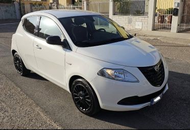 Lancia Ypsilon 1.3 MJT 16V 95 CV 5 porte S&S Elefantino