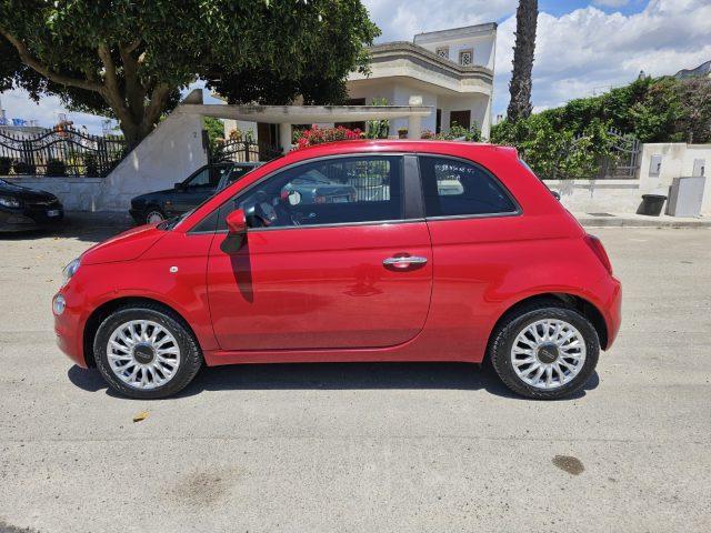 FIAT 500 1.0 Hybrid cult AUTOVETTURA