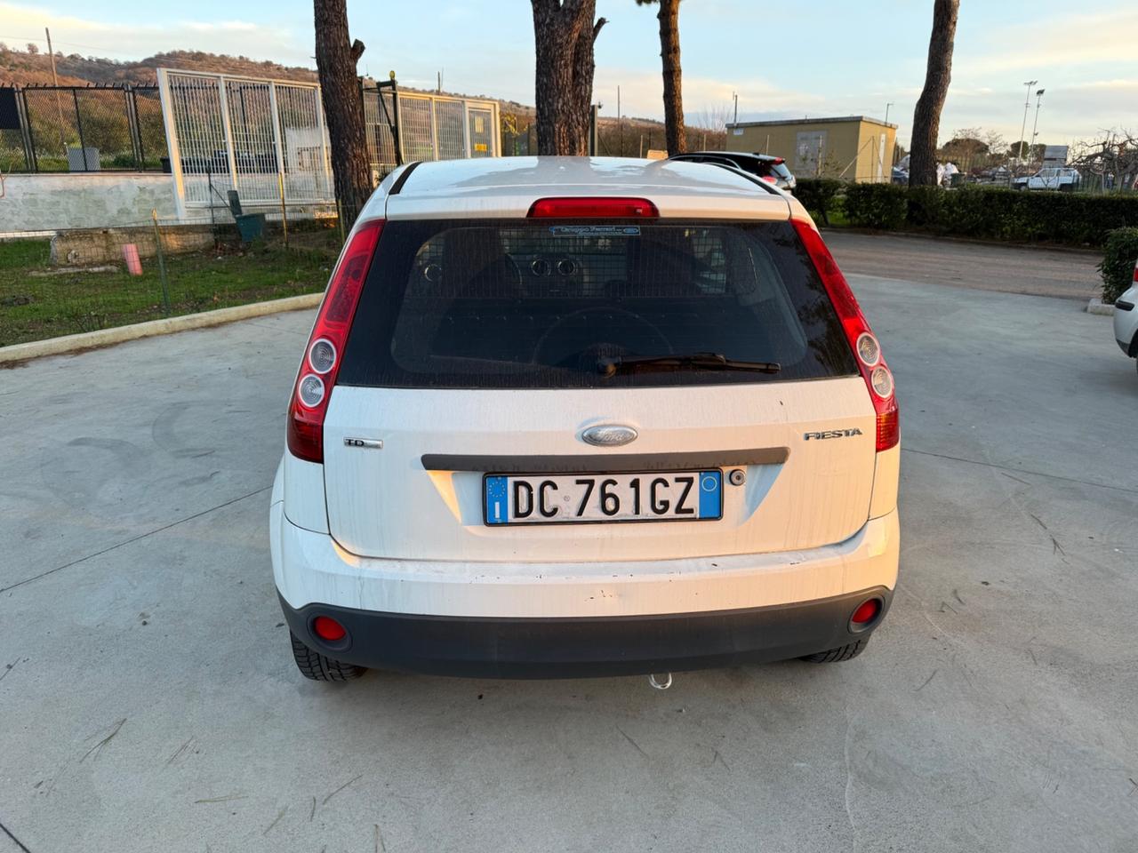 Ford Fiesta 1.4 TDCi 3p. Van