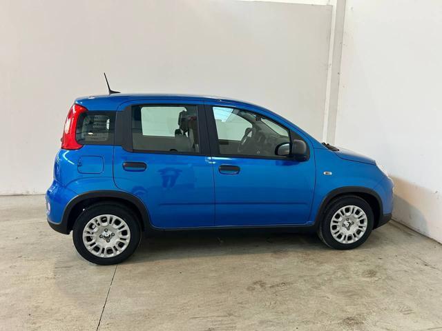 FIAT Panda 1.0 FireFly S&S Hybrid PREZZO VERO