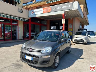 FIAT - Panda 1.2 Easy easypower Gpl 69cv my19