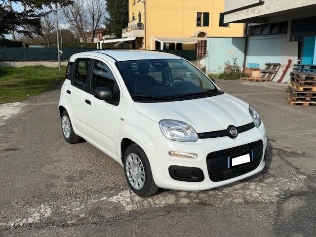 Fiat Panda aziendale iva esposta