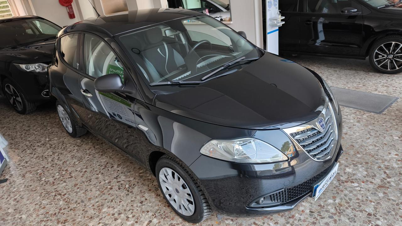 Lancia Ypsilon 1.2 69 CV 5 porte Gold