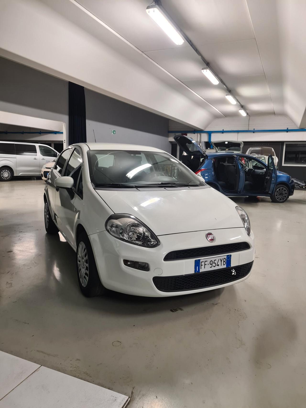 Fiat Punto 1.2 8V 5 porte Street