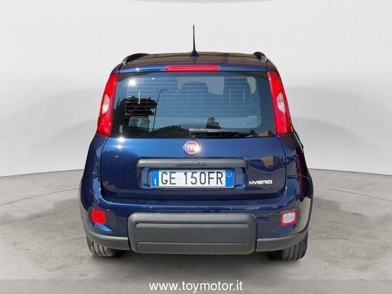 FIAT Panda 3ª serie 1.0 FireFly S&S Hybrid City Life