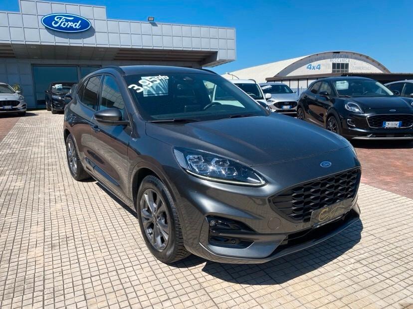 Ford Kuga 1.5 EcoBlue 120 CV aut. 2WD ST-Line X