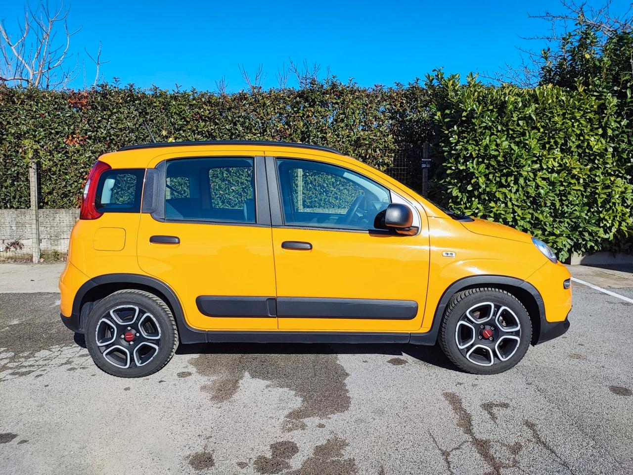 Fiat Panda 1.0 FireFly S&S Hybrid