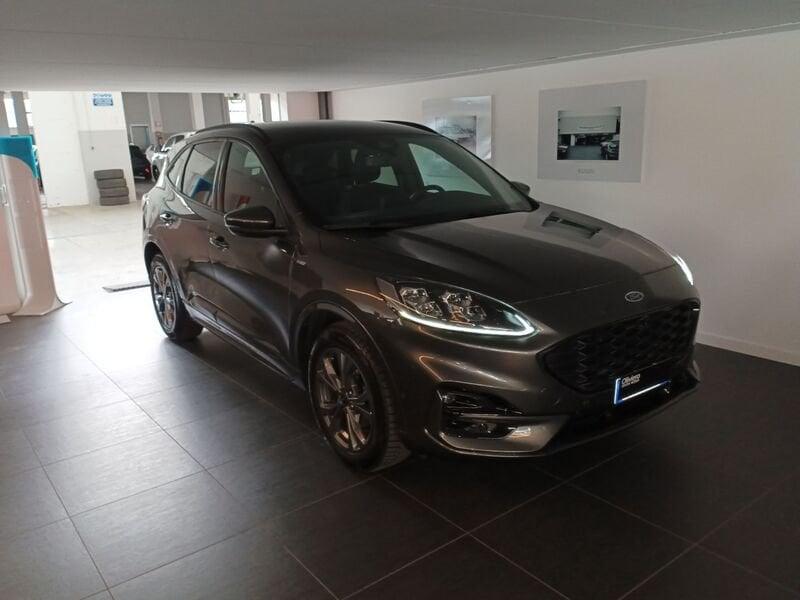 Ford Kuga 1.5 EcoBlue 120 CV aut. 2WD ST-Line X