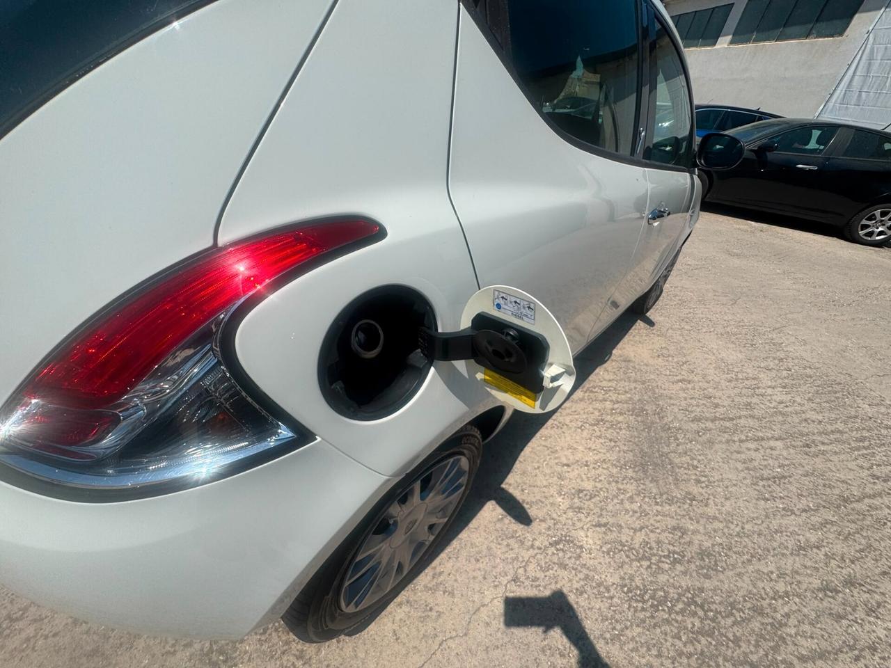 Lancia Ypsilon 1.3 MJT 16V 95 CV 5 porte S&S Platinum