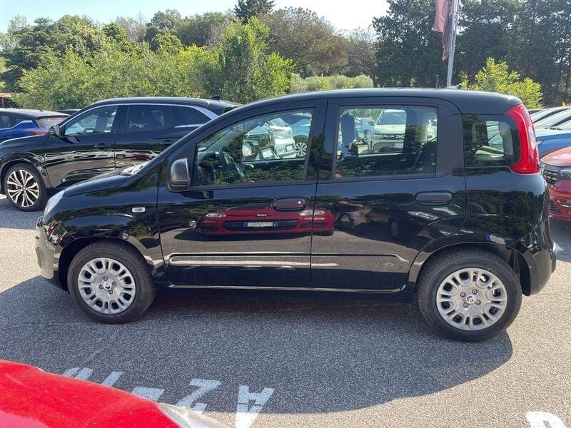 FIAT Panda New 1.0 70cv Hybrid Panda
