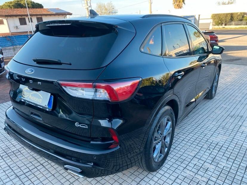 Ford Kuga 1.5 EcoBlue 120 CV aut. 2WD ST-Line X