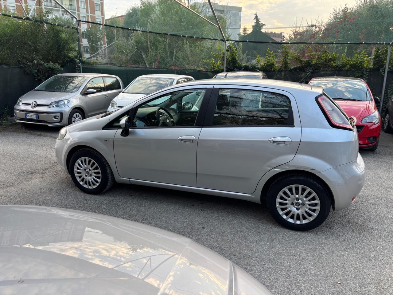Fiat Punto 1.2 8V 5 porte Street OK NEOPATENTATI
