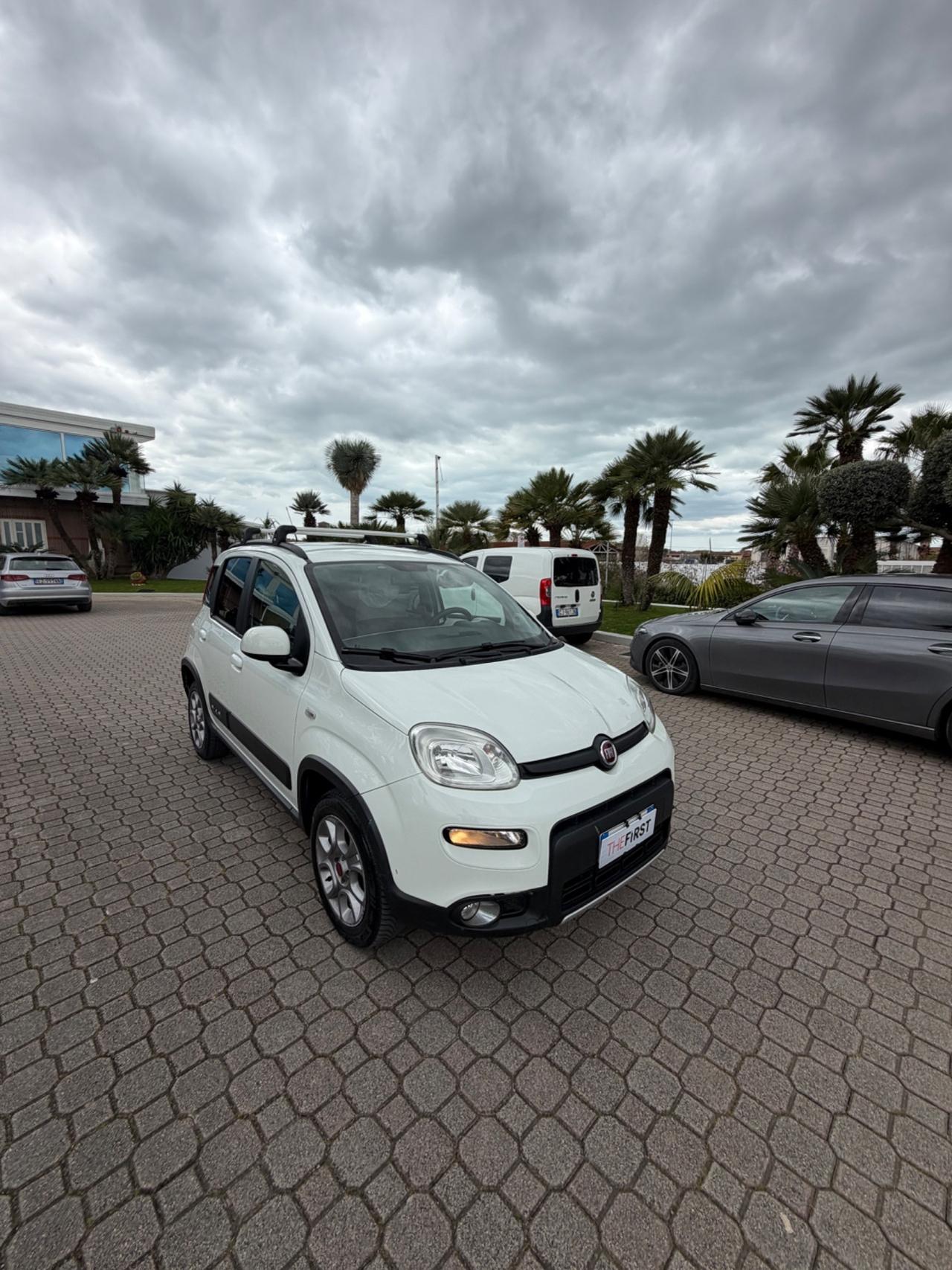 Fiat Panda 1.3 MJT S&S 4x4 Antartica