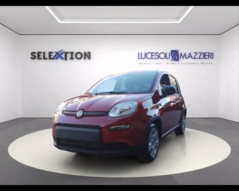 FIAT Panda 3ª serie - Panda 1.0 FireFly S&S Hybrid