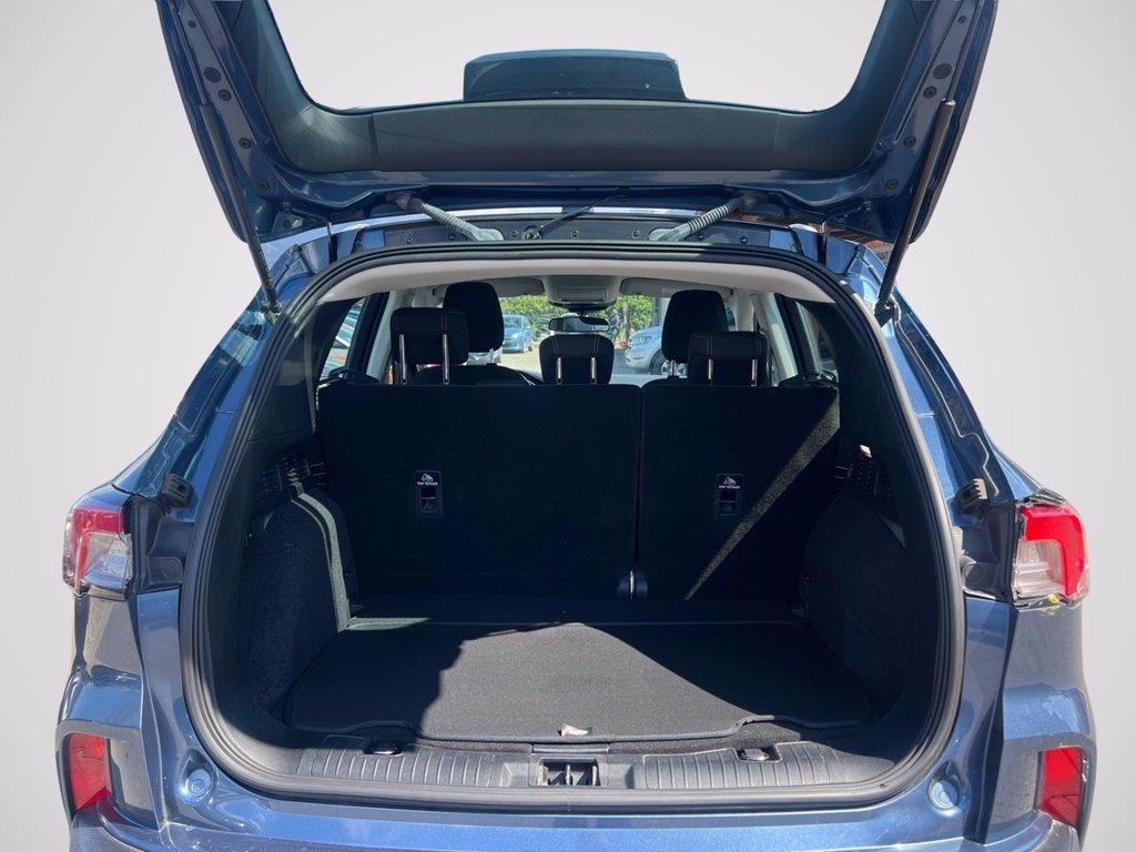 FORD Kuga 1.5 ecoboost Connect 2wd 120cv del 2021