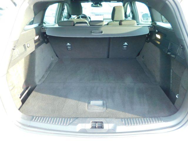 FORD Focus 1.0 EcoBoost Hybrid 125CV Powershift SW ST-Line De