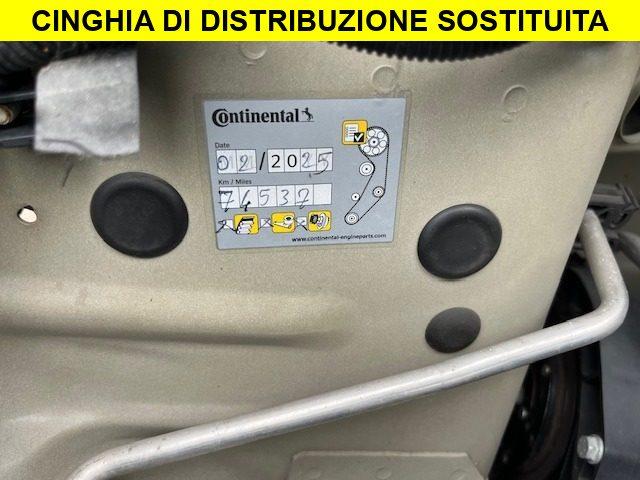 FIAT Panda 1.2 5 Posti Neopatentati