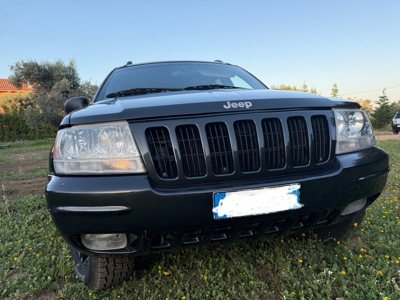 Jeep Grand Cherokee Grand Cherokee 4.7 V8 cat Limited GPL