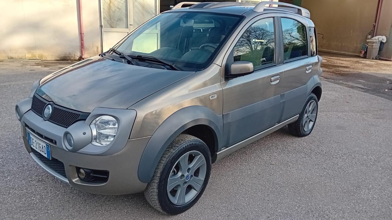 Fiat Panda cross 4 × 4-1.3 mjt-2007