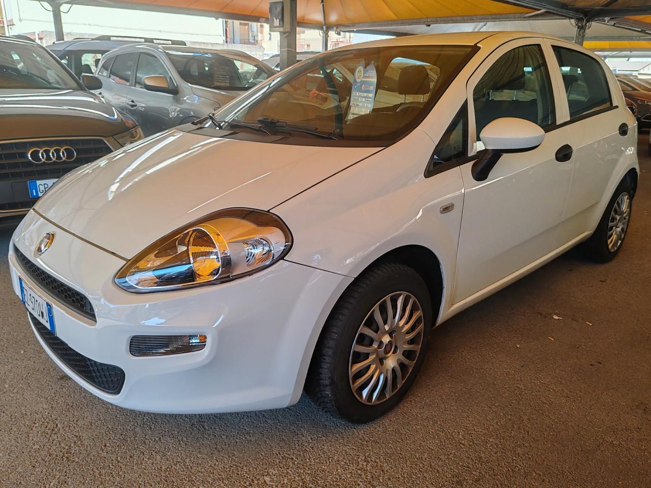 Fiat Punto 1.3 MJT II 75 CV 5 porte Street