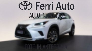 Lexus NX I 2018 300h 2.5 Sport 4wd cvt